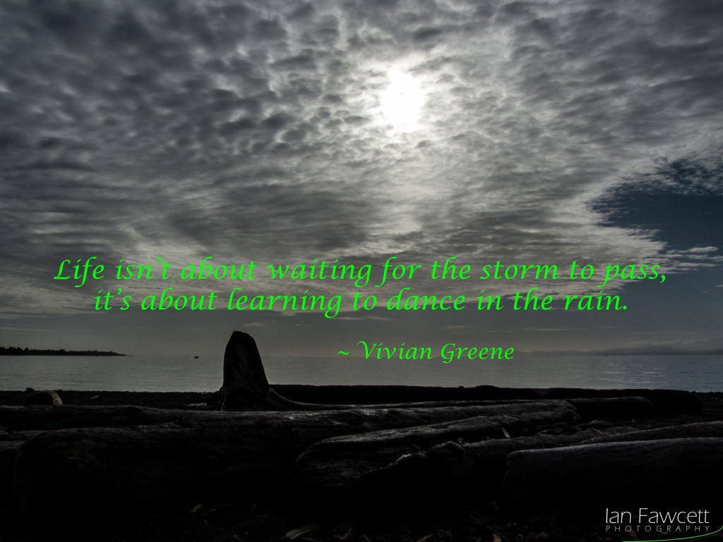 20151011 - 005 - Esquimalt Lagoon - Quotation 1a